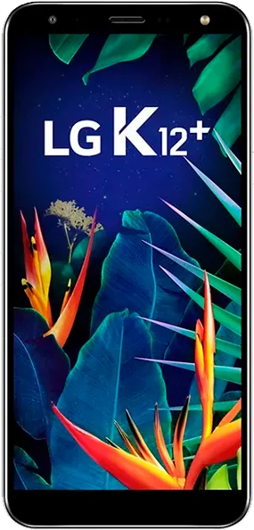 K12+